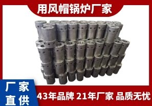 用風帽鍋爐廠家-質優(yōu)的品質從品牌入手[江河]